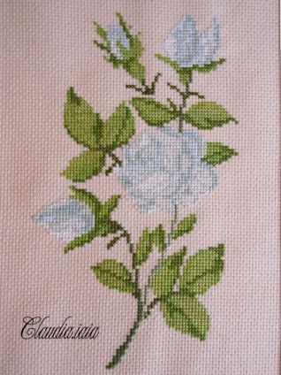 Biglietto Auguri con Rosa_2