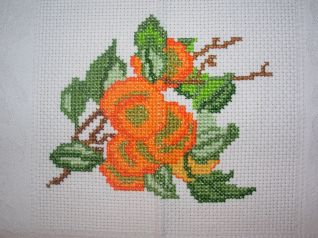 dettaglio tovaglia albicocche