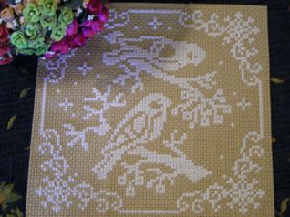 Album di Cristina p.