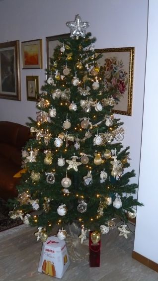 il mio albero di natale