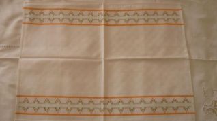 strofinaccio vagonite