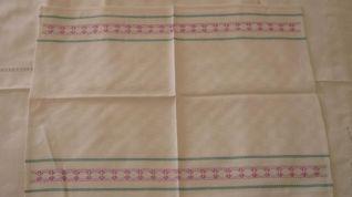 strofinaccio vagonite viola