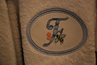 Particolare iniziale