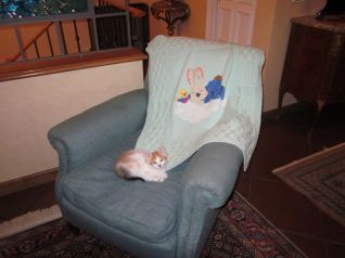 Copertina con coniglio e pulcino