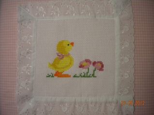 pulcino x album nascita