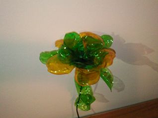 FIORE CON BOTTIGLIA DI PLASTICA