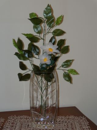 fiore margherita con collant