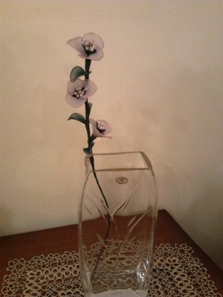 Fiori di melo con collant