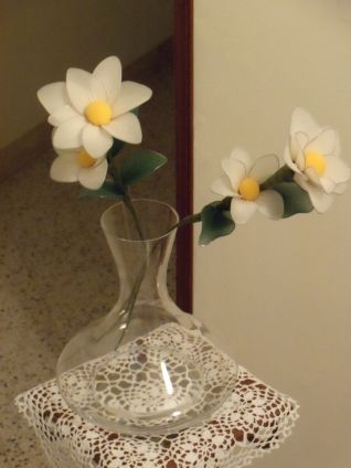 Margherite con collant