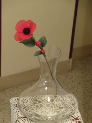 Papavero con collant