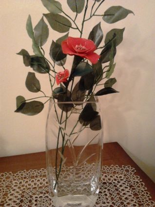 Rosa rossa con collant