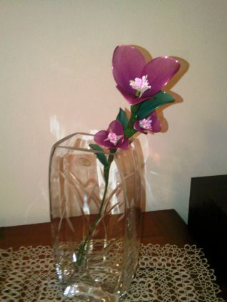 TRALCIO DI BUGANVILLEA  CON COLLANTS