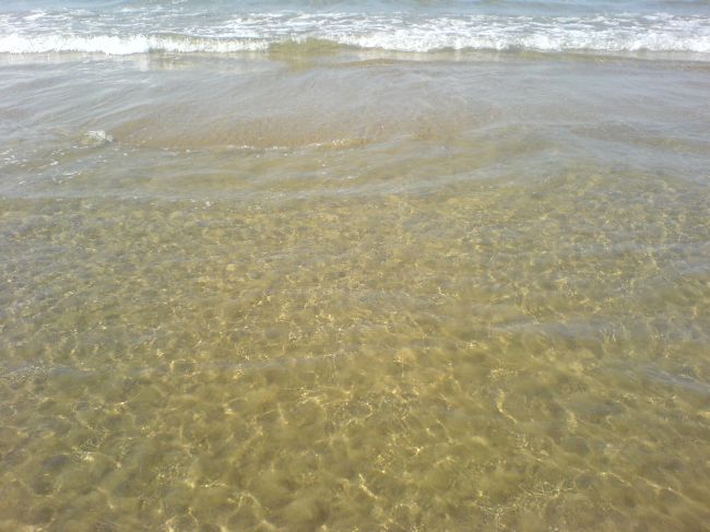 immagine Copertina di Marilina