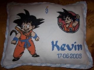 Cuscino compleanno 2009 Kevin