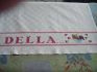 Album della categoria Punto Croce