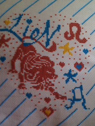 cuscino Leone da vicino