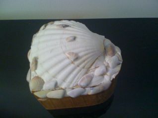 piccolo scrigno con conchiglie