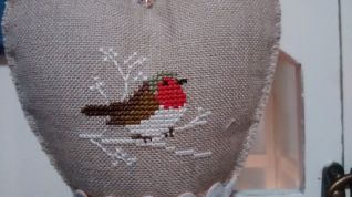 Particolare Pettirosso