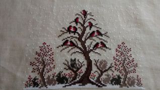 Tacita Notte - Renato Parolin