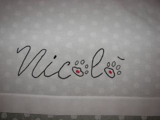 Nicolò e la carica dei 101 dettaglio1