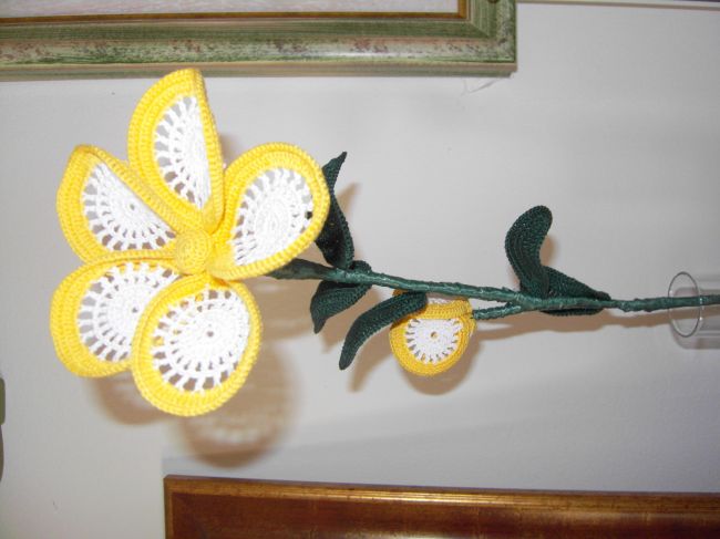 immagine Copertina di Trevlaura