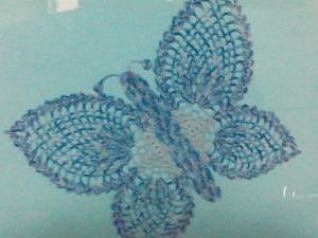farfalla azzurra