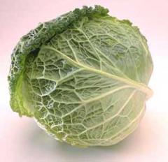 Crespelle alle verze