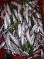 Sarde a crudo