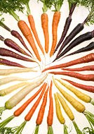 Vellulata di carote al cocco e cozze al cumino