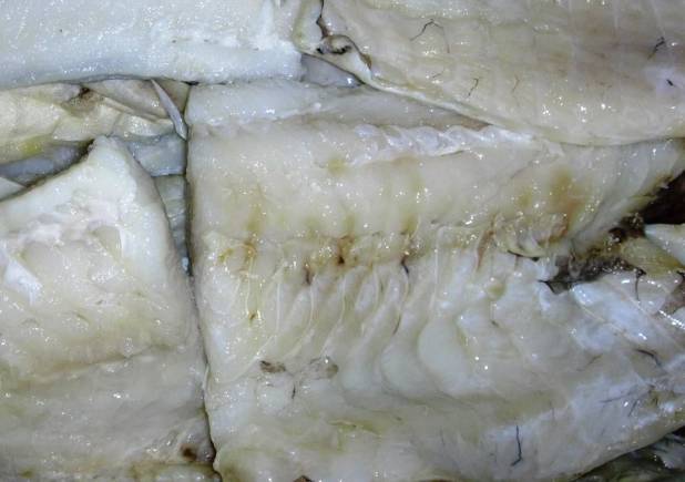 Frittelle di pesce stocco