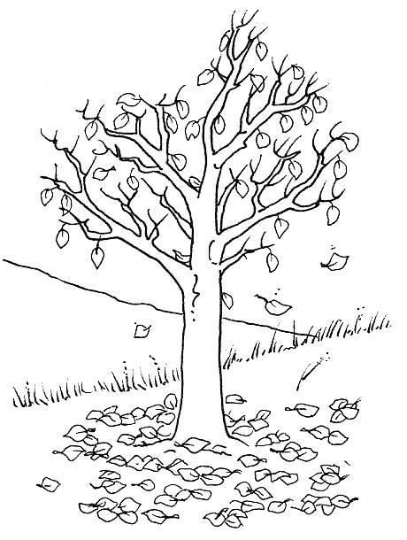 Disegno 1 Alberi