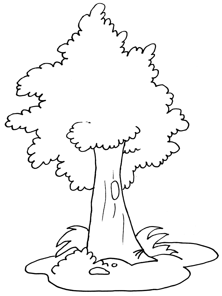 Disegno 12 Alberi