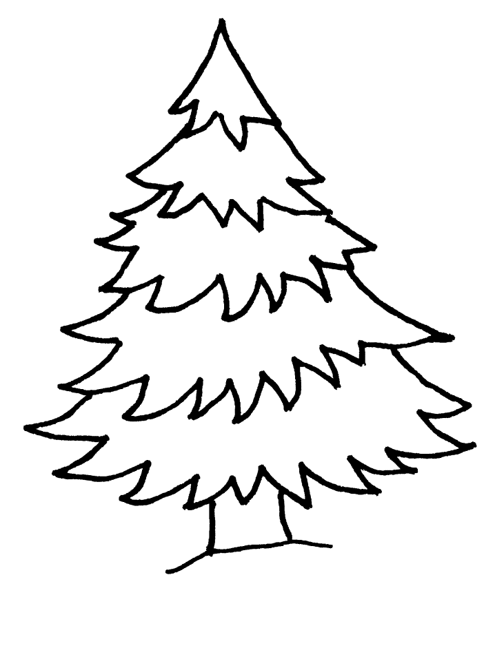 Disegno 13 Alberi