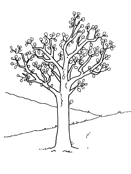 Disegno 9 Alberi