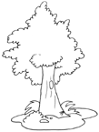 Disegno 12 Alberi
