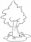 Disegno 17 Alberi