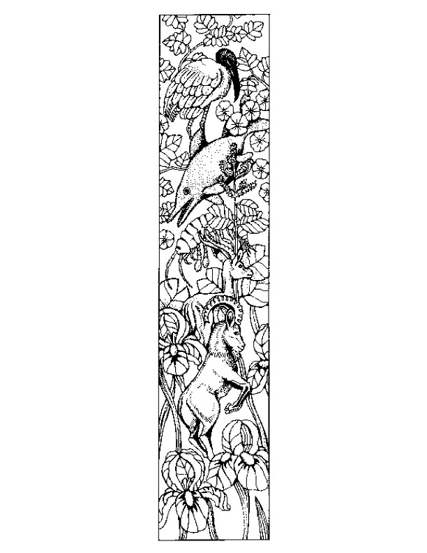 Disegno 22 Alfabeto animali