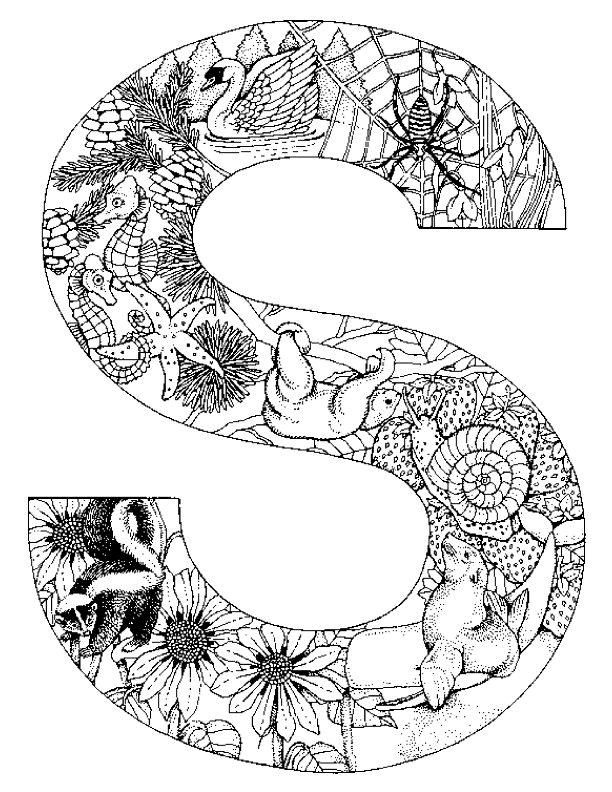 Disegno 33 Alfabeto animali