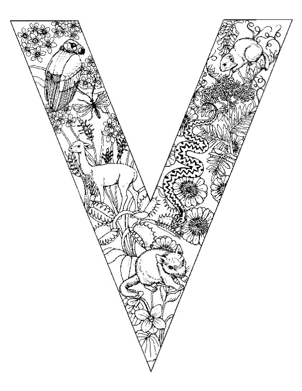 Disegno 36 Alfabeto animali