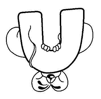 Disegno 21 Alfabeto diddl