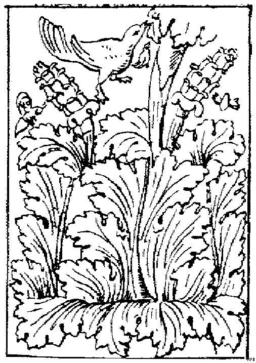 Disegno 59 Architettura