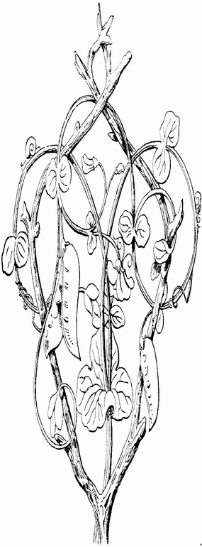 Disegno 83 Architettura