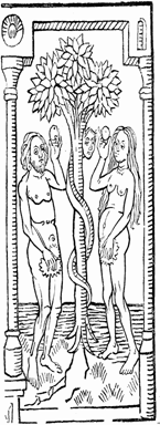 Disegno 23 Architettura