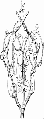 Disegno 83 Architettura