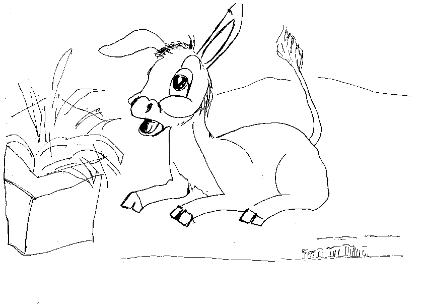 Disegno 16 Asini