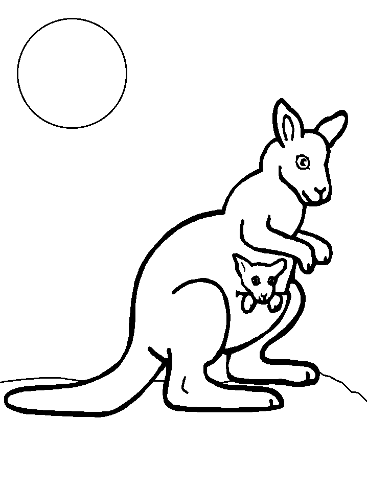 Disegno 7 Australia