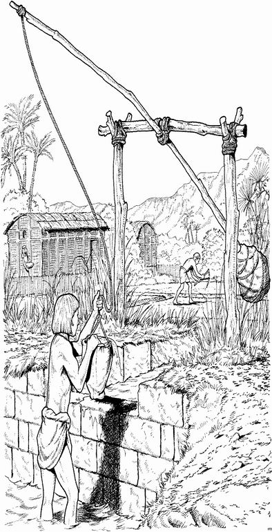 Disegno 1 Azienda agricola