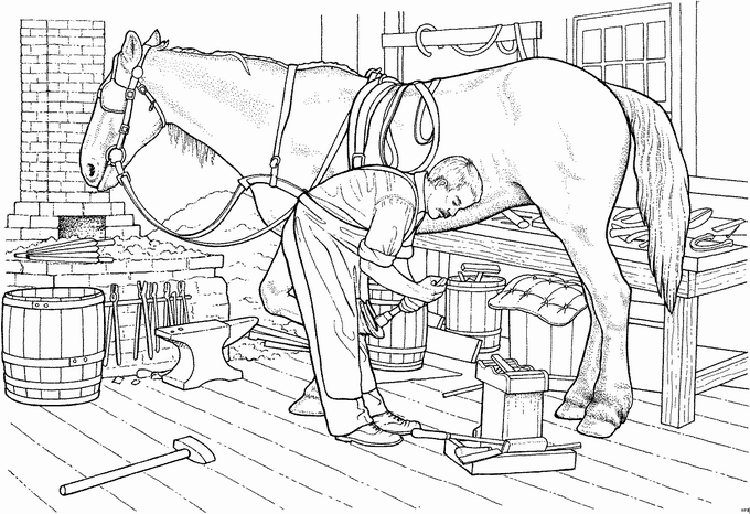 Disegno 21 Azienda agricola