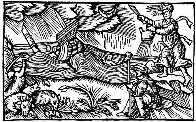 Disegno 3 Azienda agricola