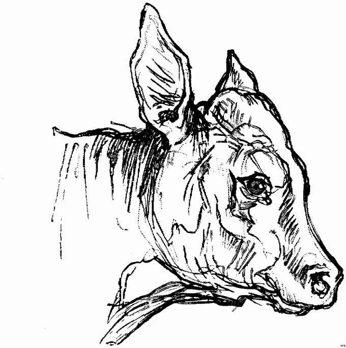 Disegno 4 Azienda agricola